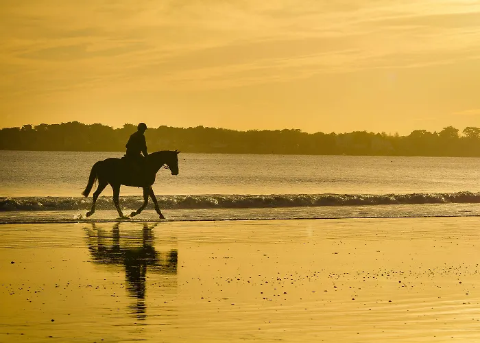 Bo & Mia 호텔 La Baule